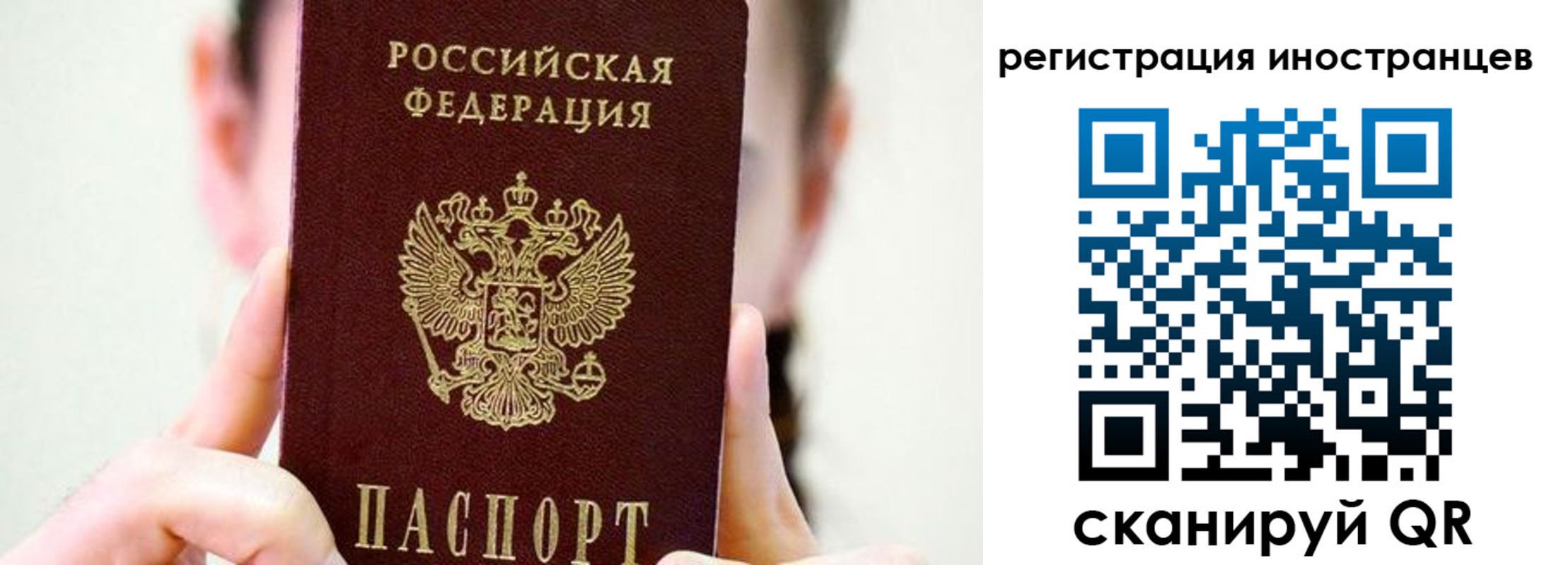 прописка штамп в Электрогорске